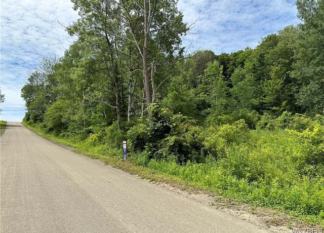 Property at 0 Simmons Rd, Ellicottville, NY 14731
