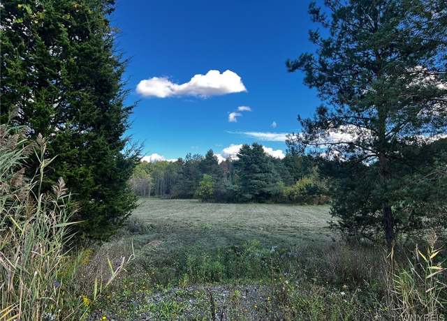 Property at VL Creek Rd, Lewiston, NY 14092