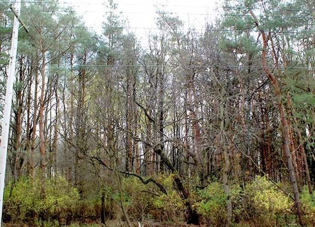 Property at VL North Street Lot #2, Concord, NY 14141