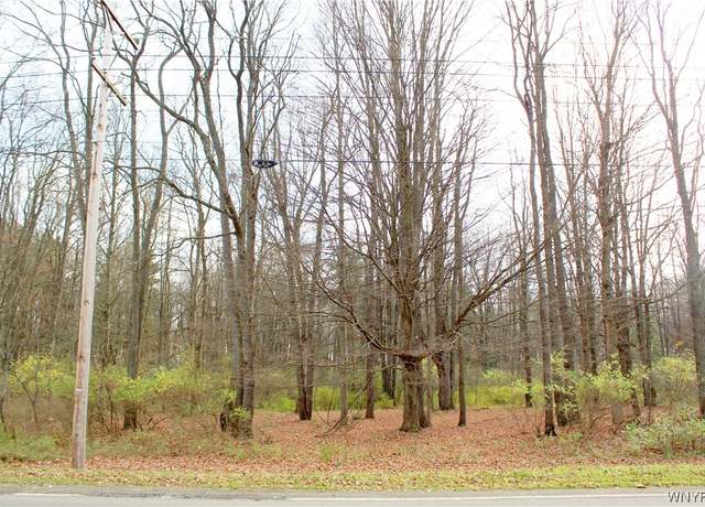 Property at VL North Street Lot #4, Concord, NY 14141