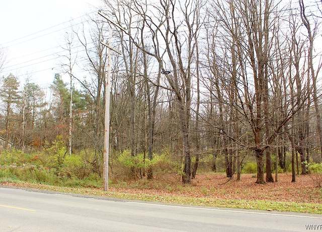 Property at VL North Street Lot #5, Concord, NY 14141