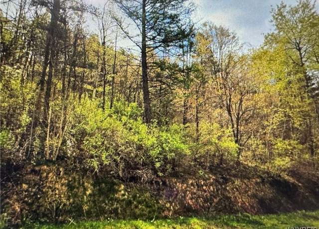 Property at Skyline Dr, Machias, NY 14042