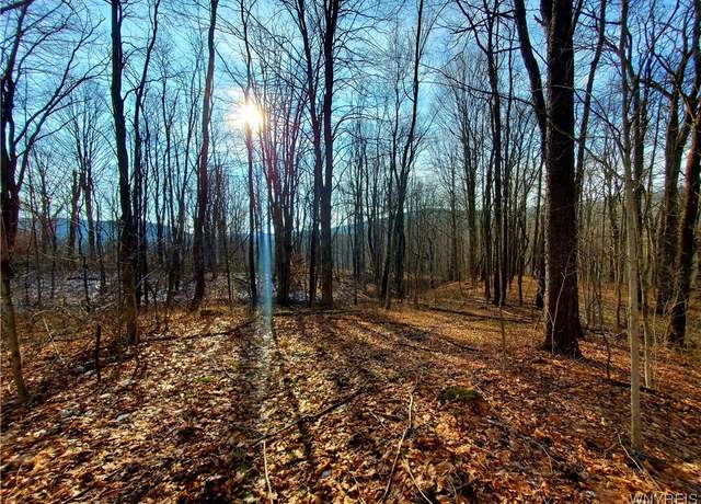 Property at 7200 Kent Rd, Mansfield, NY 14731