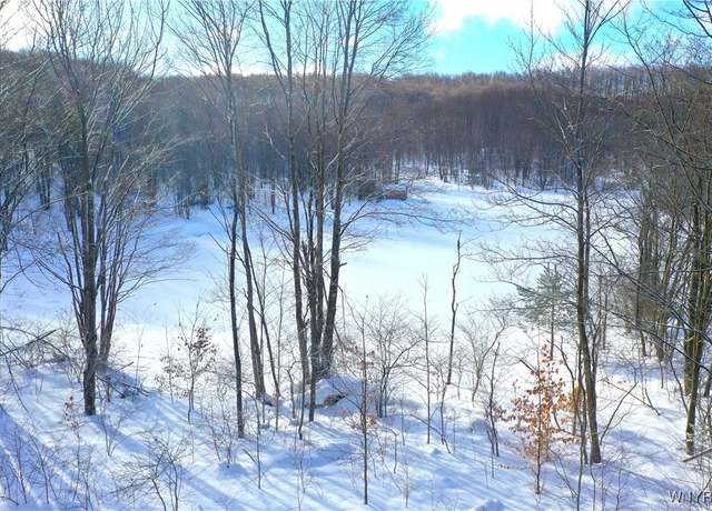 Property at 7475 Dublin Rd, Mansfield, NY 14779