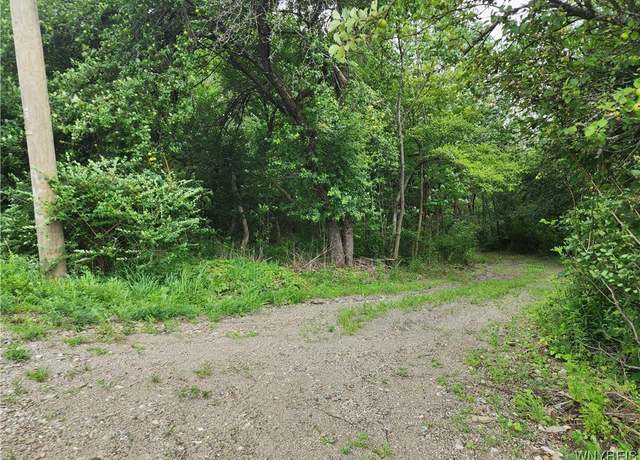 Property at V/L Hencoop Hollow Rd, Mansfield, NY 14731