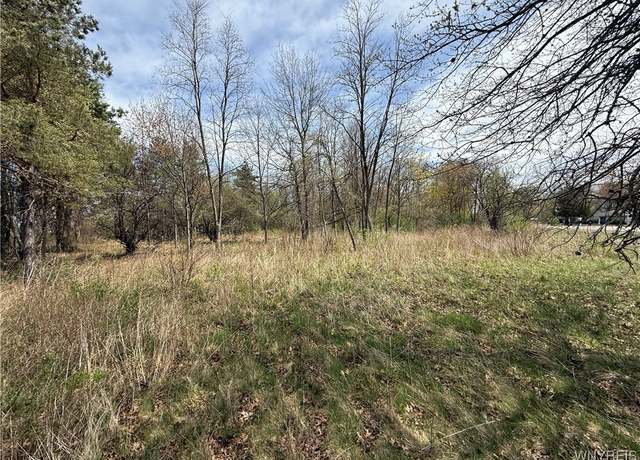 Property at Braley Rd, Porter, NY 14174