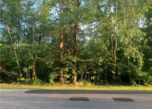 Property at 389 Eisenhower Ave, Evans, NY 14006