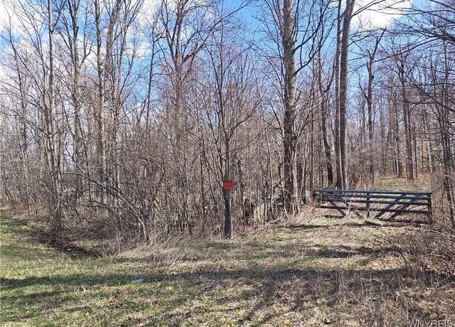 Property at V/L 10 ac South Street Rd, Pavilion, NY 14482