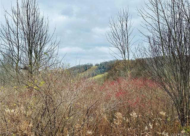 Property at V/L Overview Dr, Grove, NY 14884