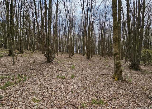 Property at 11 Trail Hts, Ellicottville, NY 14731