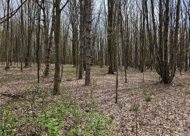 Property at 12 Trail Hts, Ellicottville, NY 14731