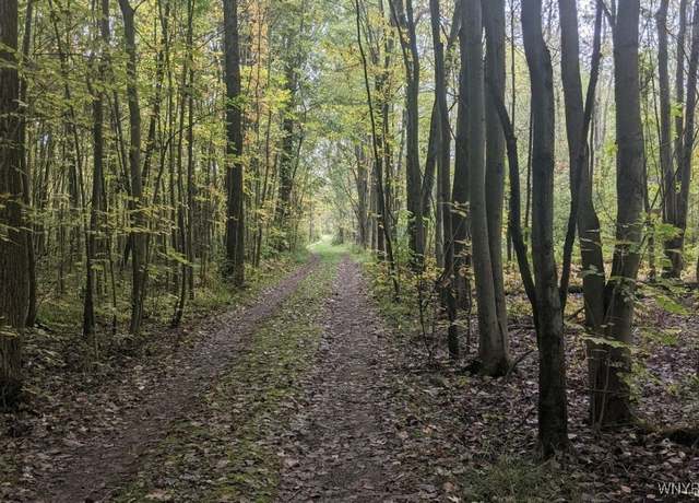 Property at 11955 Tonawanda Creek Rd, Akron, NY 14001