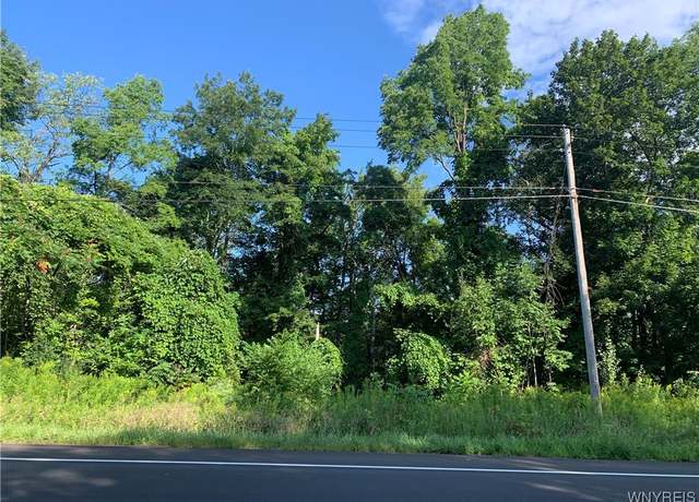 Property at Route 62, Dayton, NY 14138
