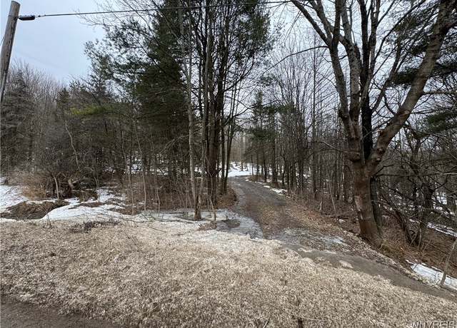 Property at Cr-3, Centerville, NY 14065