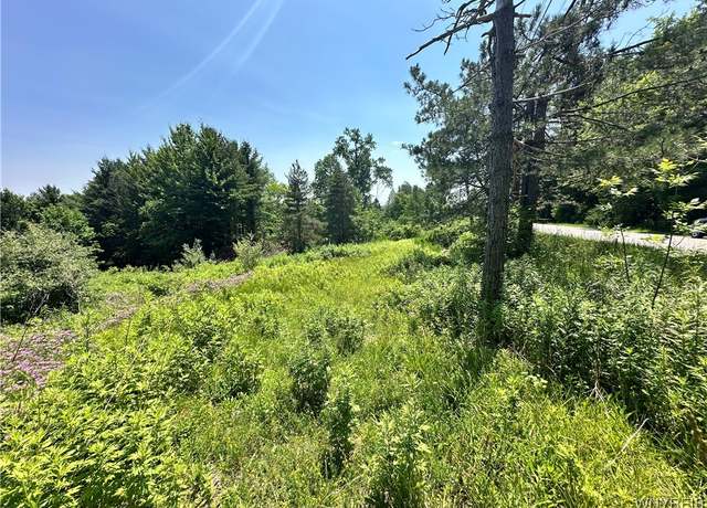 Property at 8385 Lower East Hl E, Boston, NY 14025