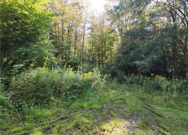 Property at 33 Creek Ridge Rd, Ellicottville, NY 14731