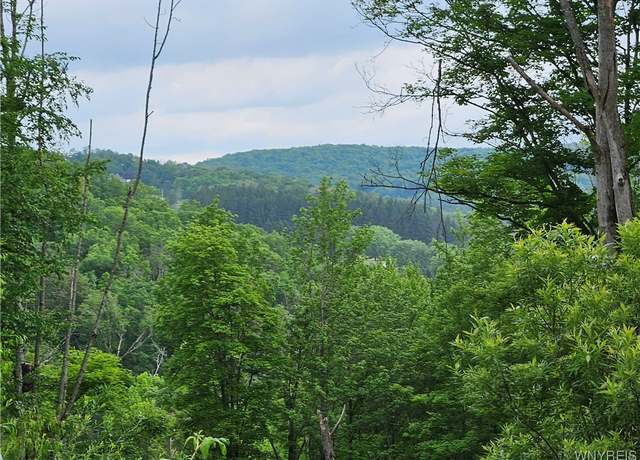 Property at 20 Fresh Tracks Way #20, Mansfield, NY 14731