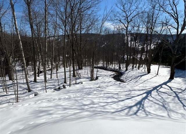 Property at 6887 Niles Rd, Ellicottville, NY 14731