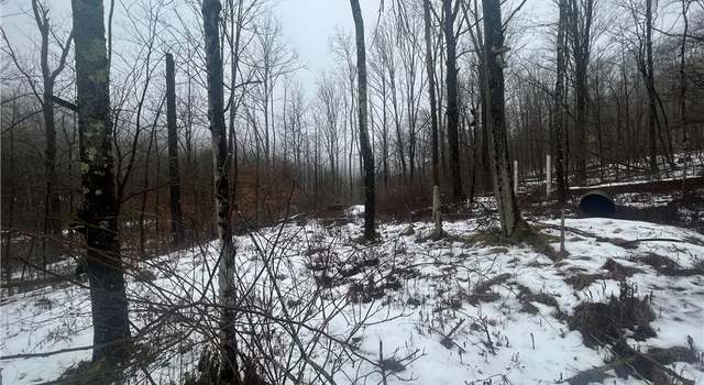 Photo of 0 Five Mile Rd, Ischua, NY 14743