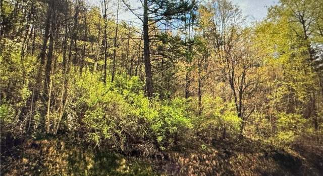 Photo of Skyline Dr, Machias, NY 14042