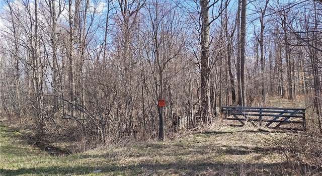 Photo of V/L 10 ac South Street Rd, Pavilion, NY 14482