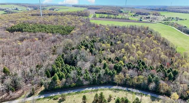 Photo of 2788 Williamson Rd, Greenwood, NY 14839