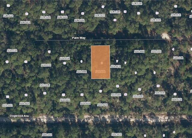 Property at 119 Palm Way, Georgetown, FL 32139