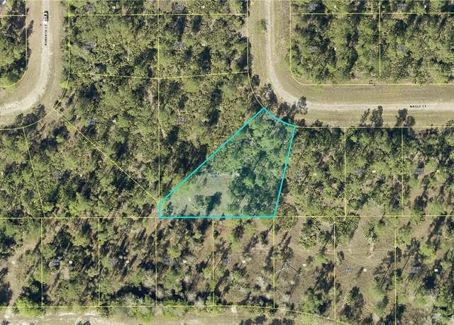 Property at 307 Nagle Ct, Lehigh Acres, FL 33972