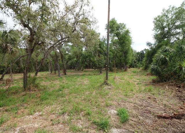 Property at 2998 SW Armadillo Trl, Arcadia, FL 34266