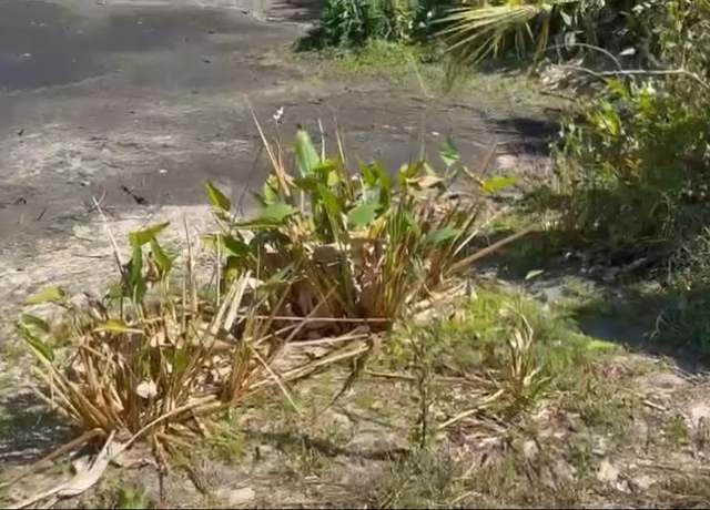Property at 902 Michael Ave, Lehigh Acres, FL 33936