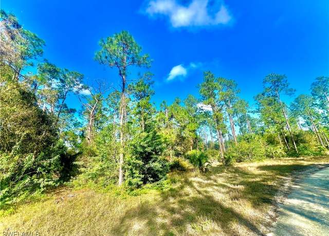 Property at 124 Nassau Ave, Lehigh Acres, FL 33974
