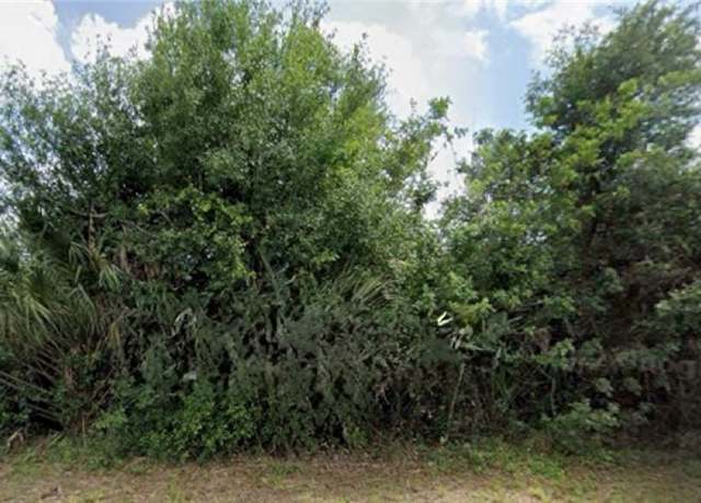 Property at 856 Frederick Reid St E, Lehigh Acres, FL 33974