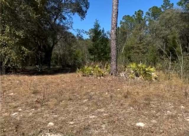 Property at 116 Lancaster St, Interlachen, FL 32148