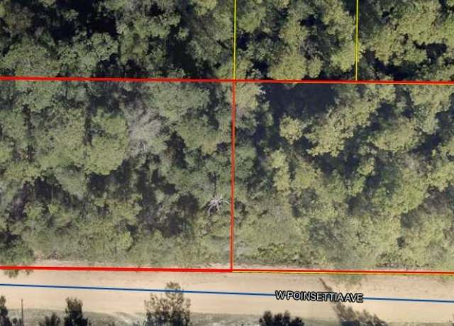 Property at 16-3N-20-28060-031-0161 Poinsetta Ave, FL 32433