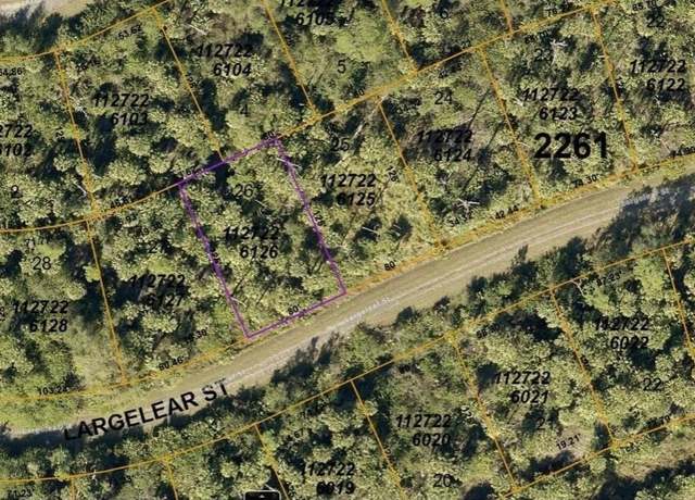 Property at 1127226126 Largeleaf St, North Port, FL 34288