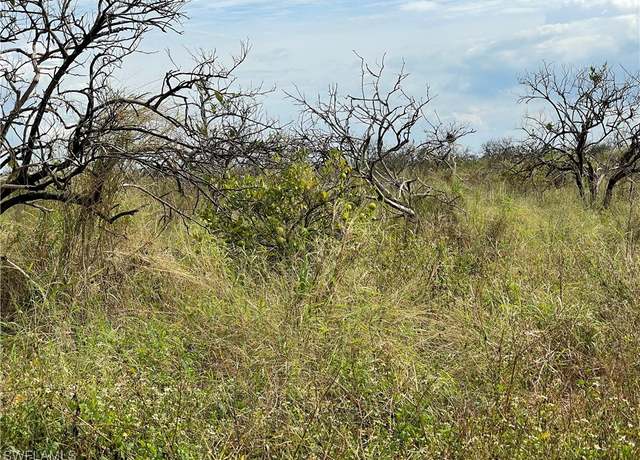 Property at 5th Rd, Labelle, FL 33935