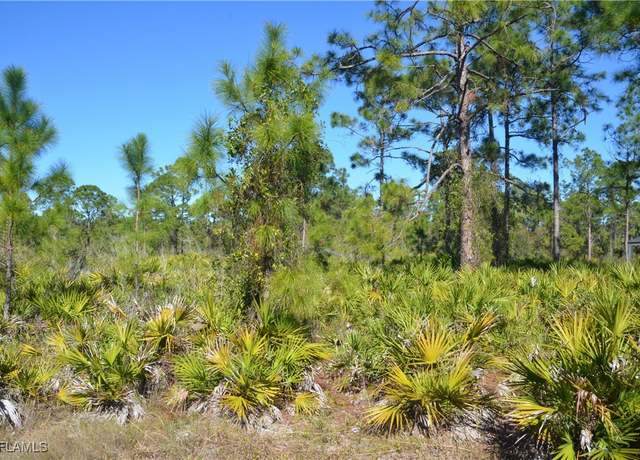 Property at 1602 W 14th St, Lehigh Acres, FL 33972