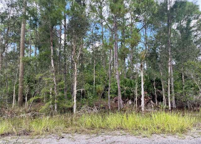 Property at 302 Rosanna Ave, Lehigh Acres, FL 33972