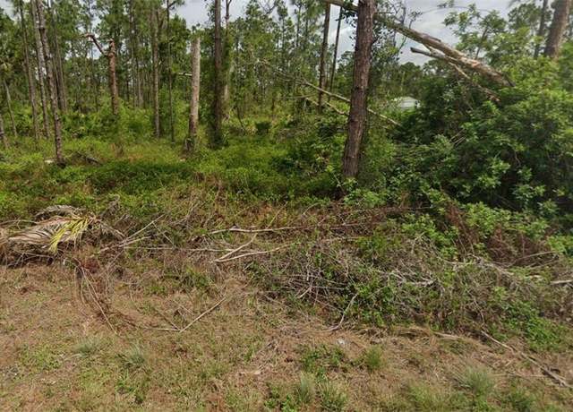 Property at 1111 Venetia St, Lehigh Acres, FL 33974