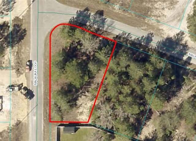 Property at 9031-0945-15 Malauka Loop Run, Ocklawaha, FL 32179