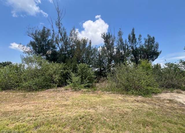 Property at 2917 NW 9th Ter, Cape Coral, FL 33993