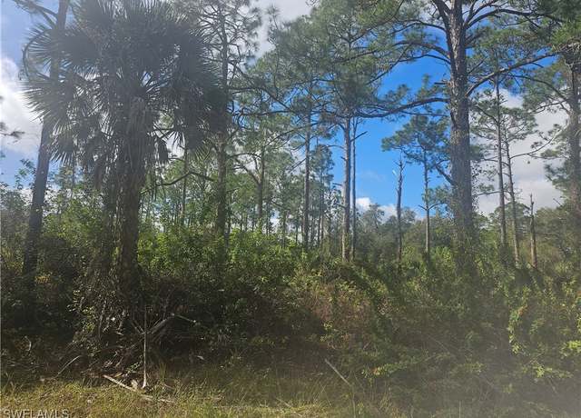 Property at 1123 Lincoln Ave, Lehigh Acres, FL 33972