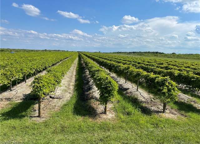 Property at 5567 5th Rd, Labelle, FL 33935