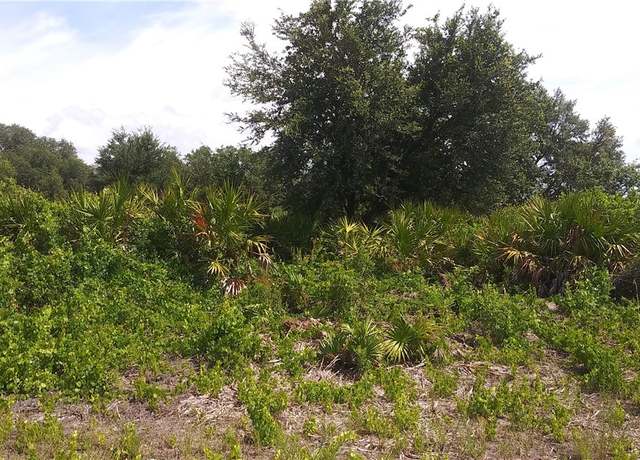 Property at 6006 Ida Ave N, Lehigh Acres, FL 33971
