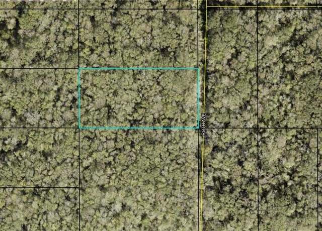 Property at 21-10-28-2775-00050-0177 Ruth Ave, Hastings, FL 32145