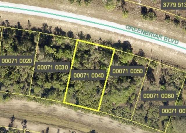 Property at 423 Greenbriar Blvd, Lehigh Acres, FL 33972