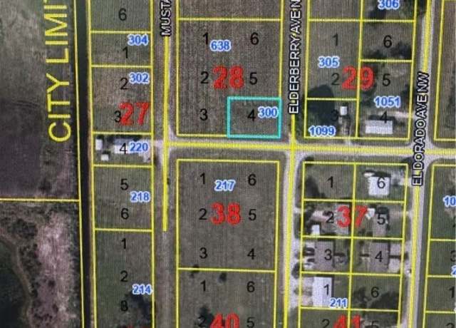 Property at 300 Elderberry Ave NW, Moore Haven, FL 33471