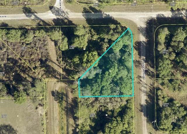 Property at 208 Neptune Ave S, Lehigh Acres, FL 33974