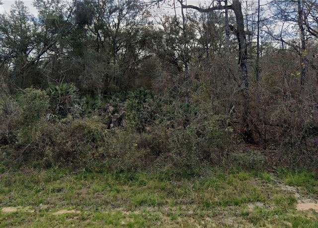 Property at 7355 N Canal St, Webster, FL 33597