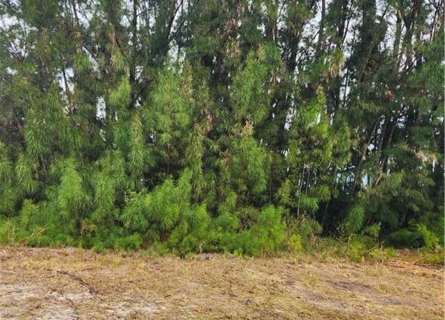 Property at 338 Tyrone Ave, Lehigh Acres, FL 33972